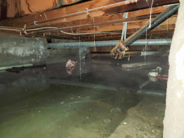 Best 24/7 water damage repair  in Gun Barrel City, TX