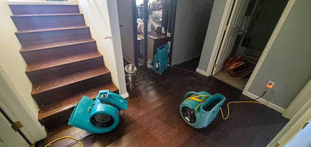 Best Residential water damage restoration  in Gun Barrel City, TX