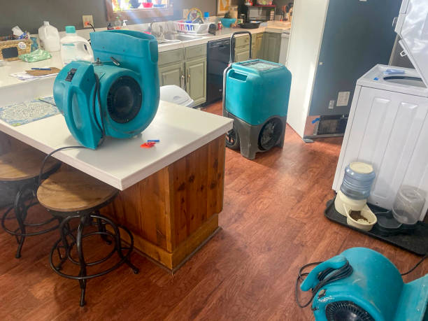 Best Water damage restoration near me  in Gun Barrel City, TX