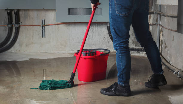 Best Local water damage restoration  in Gun Barrel City, TX