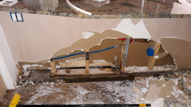 Best Basement water damage restoration  in Gun Barrel City, TX