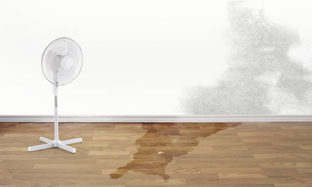 Best Water damage restoration company  in Gun Barrel City, TX
