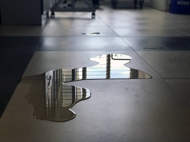 Best 24-hour water damage restoration  in Gun Barrel City, TX