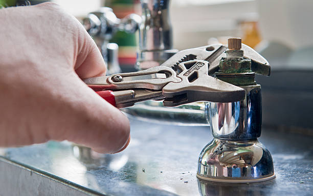 Best Professional water damage repair  in Gun Barrel City, TX