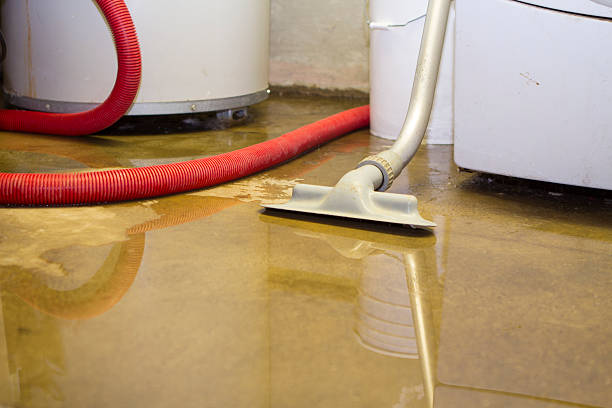 Best Water damage cleanup near me  in Gun Barrel City, TX