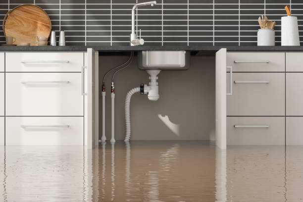 Best Emergency water damage restoration  in Gun Barrel City, TX