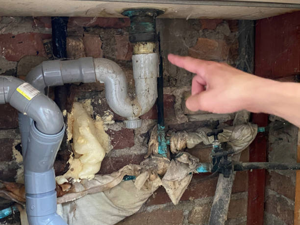 Best Flood damage cleanup  in Gun Barrel City, TX