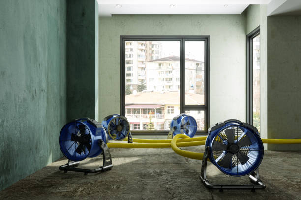 Best Mold removal after water damage  in Gun Barrel City, TX