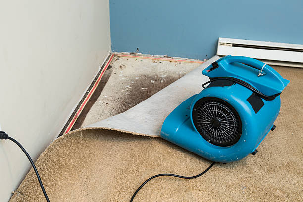 Best Ceiling water damage repair  in Gun Barrel City, TX